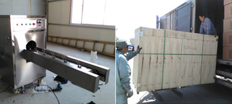 Bidragon Delivered Onion Processing Equipment to Poland and Korea Bidragon Delivered Onion Processing Equipment to Poland and Korea