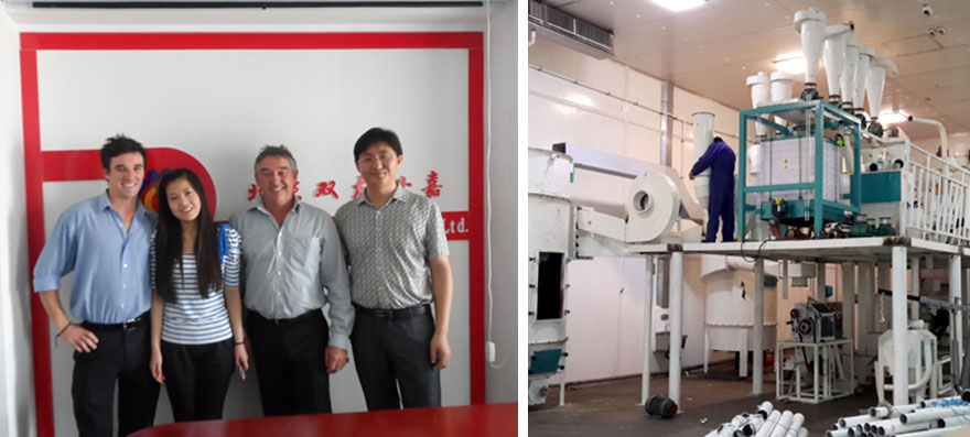 8-10T/day Corn Flour milling plant 8-10T/day Corn Flour milling plant